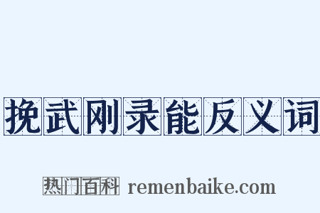 挽武刚录能反义词是什么意思的图片